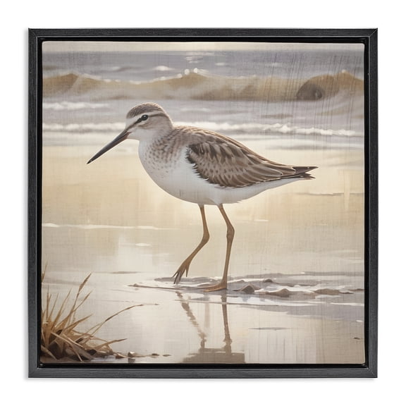 Stupell Industries Wading Beach Sandpiper Black Framed Floater Canvas Wall Art, design by Susan Arnot, 25 x 25