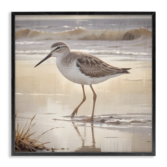 Stupell Industries Wading Beach Sandpiper Black Framed Giclee Art, design by Susan Arnot, 12 x 12