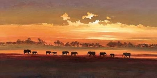 Wading Elephants Canvas Art - Jonathan Sanders (24 x 48)