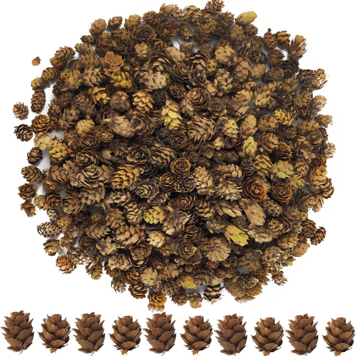 WadwP 320PCS 1.18"1.97" Christmas Natural Mini Pine Cones in Bulk