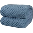 thumbnail image 1 of Waffle Fleece Throw Blanket for Couch Twin Bed Dusty Blue, Super Soft Fuzzy Cozy Blanket Sofa, Plush Warm Cute Decorative Home Decor Throw, Lightweight All Season, Slate Light Blue, 60x80, 1 of 6