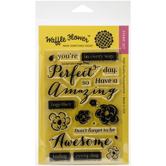 Waffle Flower Crafts Clear Stamps 4"X6"-In Every Way