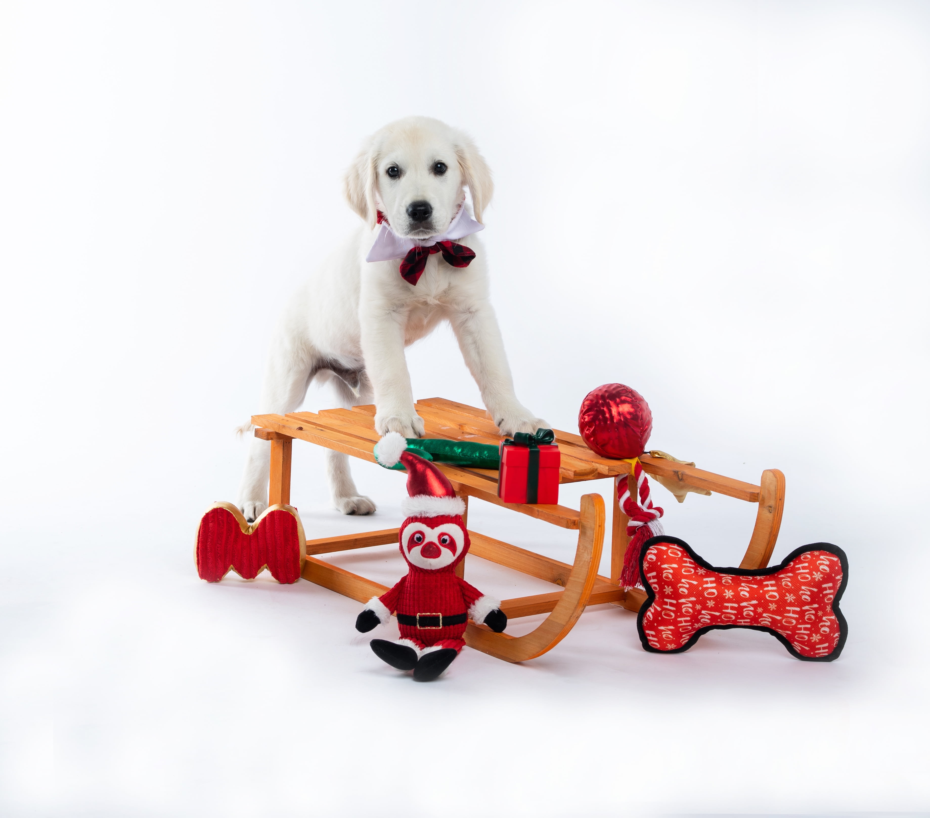 https://i5.walmartimages.com/seo/Wag-and-Wiggle-6-Piece-Holiday-Dog-Toy-Set_5e3f5402-2dd2-4d7a-9f0f-30f38d3d5c59.9fa033ae5b4ee3e5ef2d5052bdb6a345.jpeg
