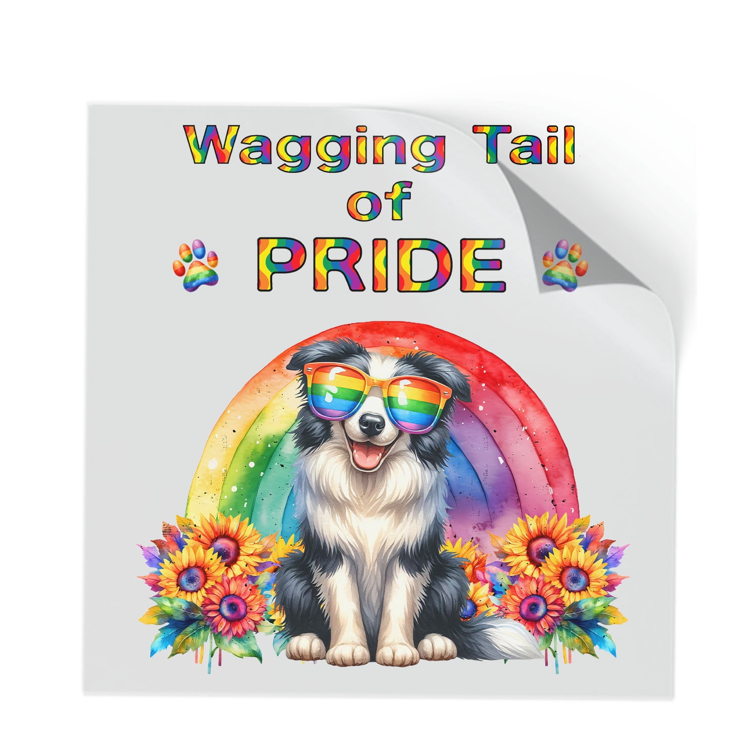 Wagging Tail Border Collie Celebrates Rainbow Pride Month LGBT LGBTQ+ ...