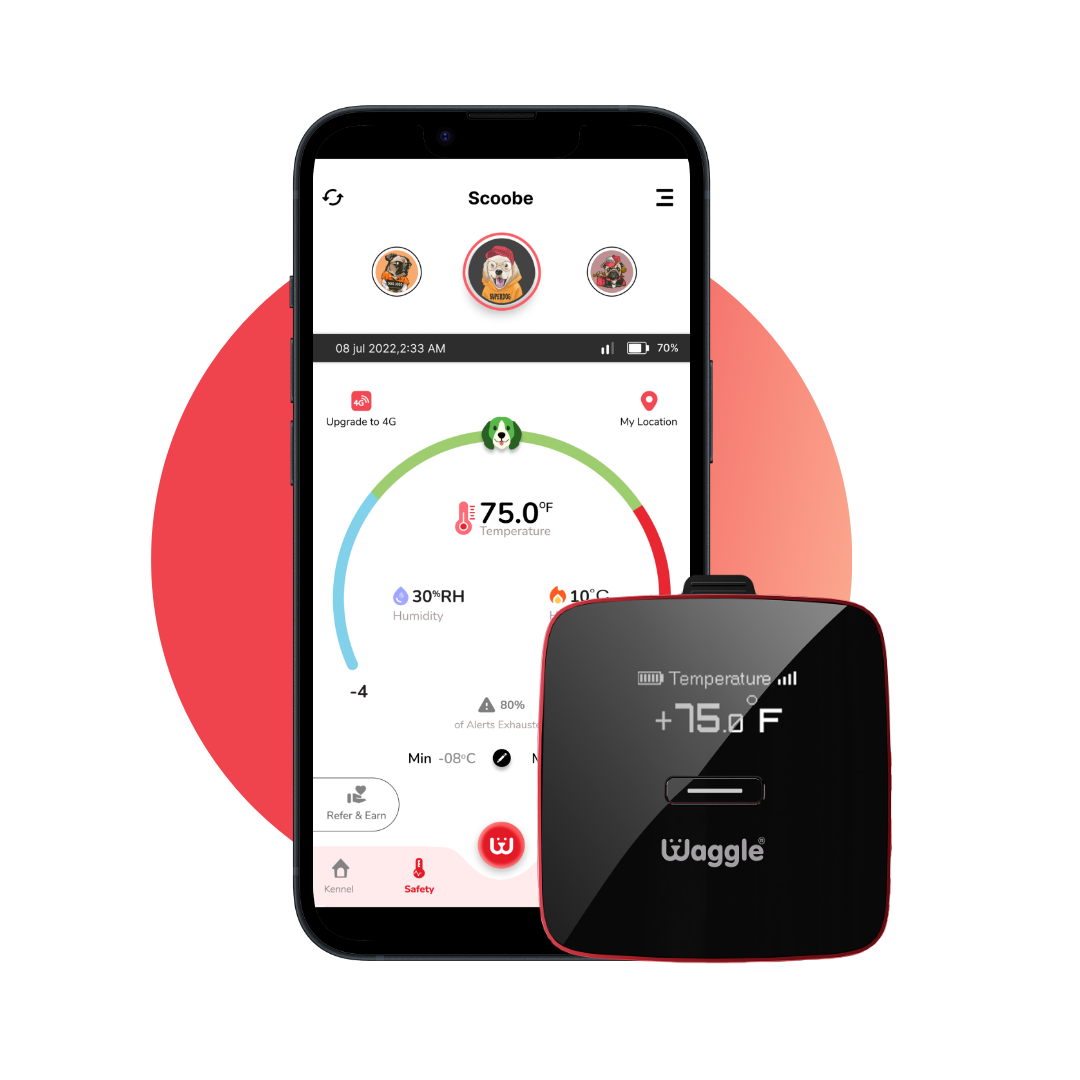 PETKIT P2 Smart Activity Monitoring Pet Tracker