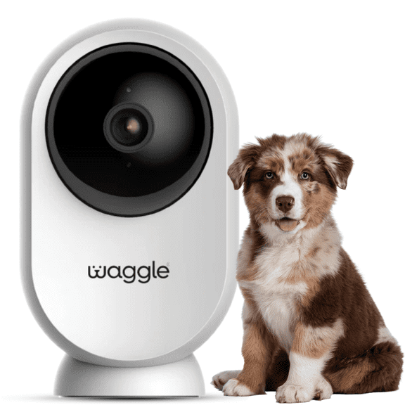 Waggle RV Mini Camera - 1080p HD Wireless Security Camera for RVs – Built-in SD Card , 2-Way Audio, Night Vision & Motion Detection - Ideal for Indoor Use - WiFi & Subscription Required