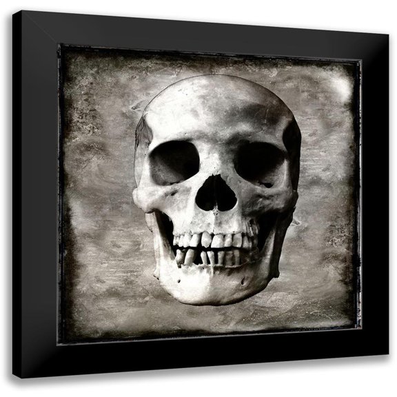 Wagner, Martin 12x12 Black Modern Framed Museum Art Print Titled - Skull I