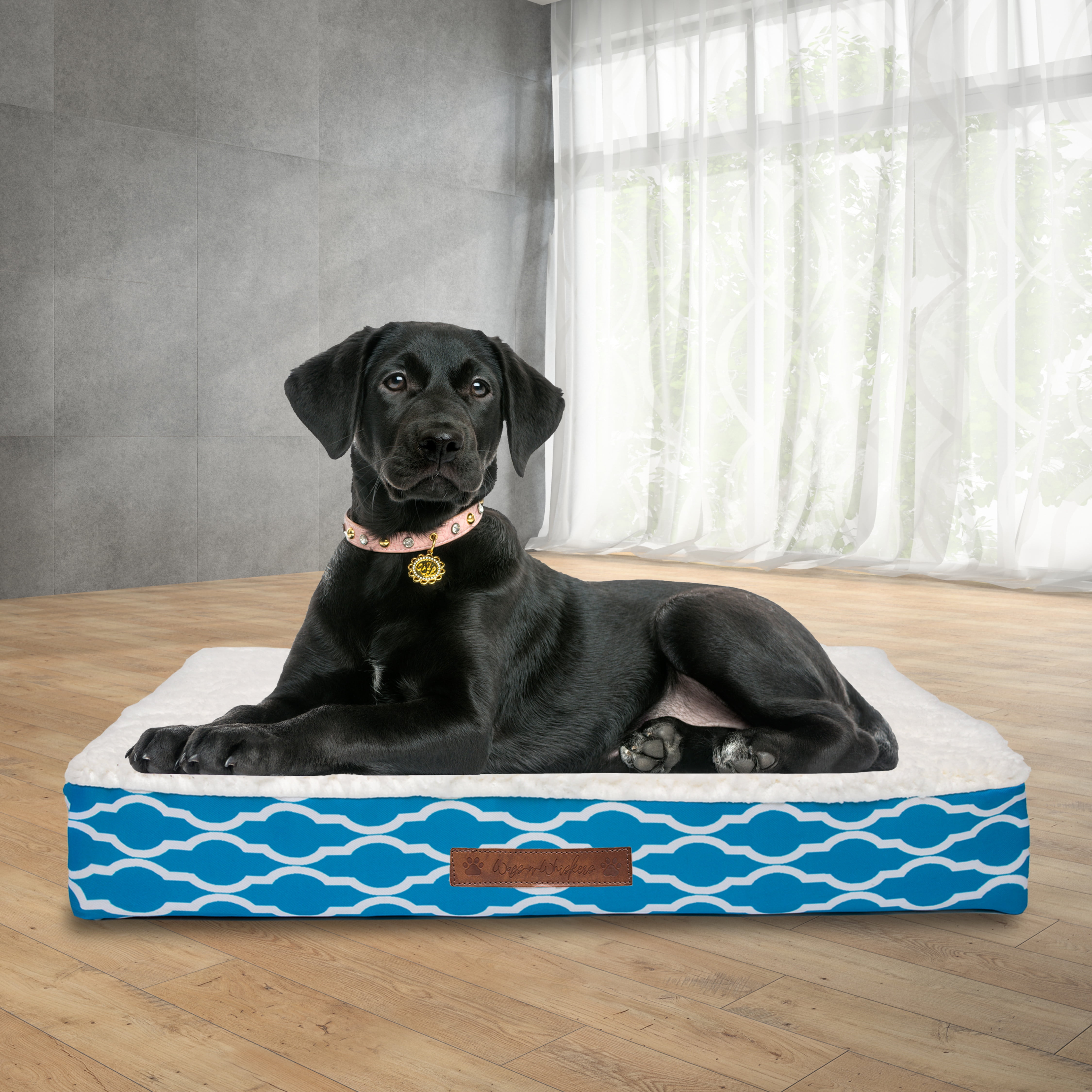 Narrow dog bed cheap