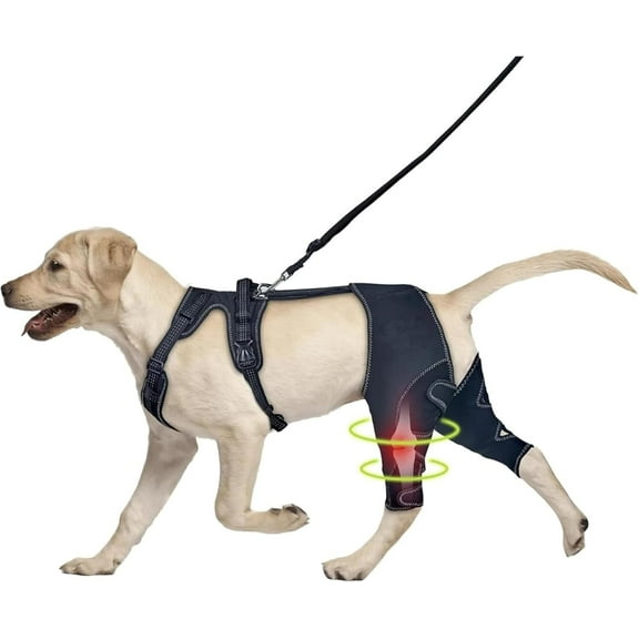 Wagwize Knee Brace Harness for Dogs, 360° Wrapping Stabilizes The Hind Leg Joints, Wagwize Dog Knee Brace, Adjustable Support Non-Slip Joint Braces for Back Leg, Protect The Dog's Hind Legs (L)