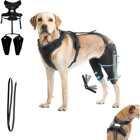 Wagwize Knee Brace Harness for Dogs, 360° Wrapping Stabilizes The Hind Leg Joints, Wagwize Dog Knee Brace, Adjustable Support Non-Slip Joint Braces for Back Leg, Protect The Dog's Hind Legs (M)