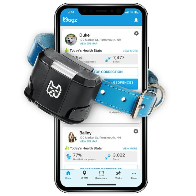 Wagz® Freedom Smart Dog Collar™, the ShockFree Wireless Fence