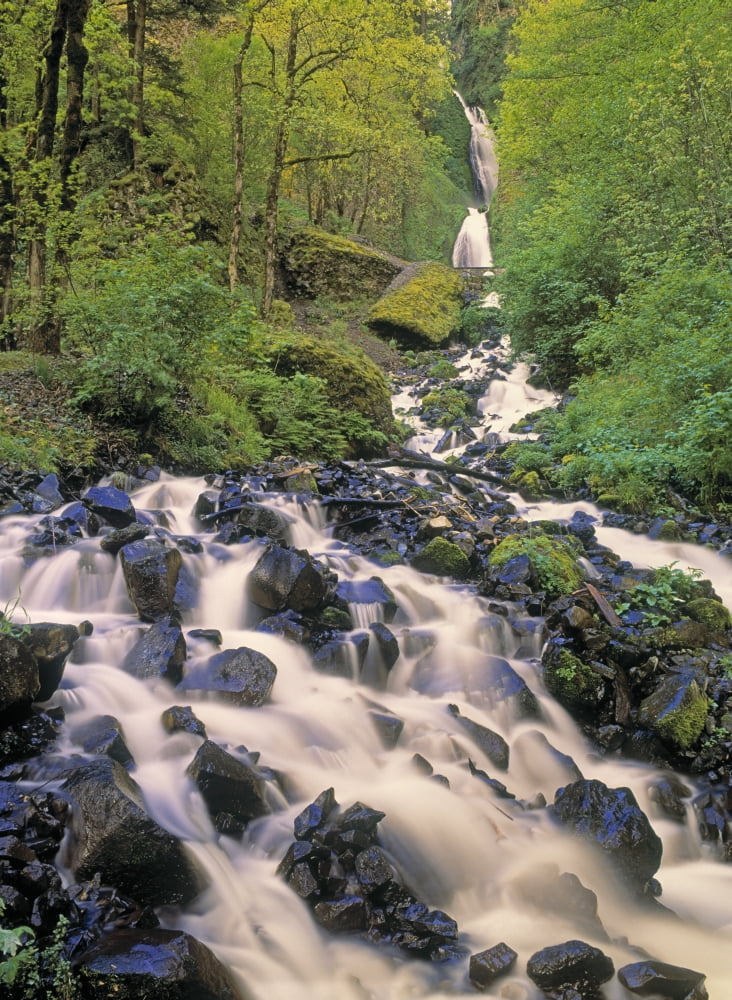 Wahkeena Falls Columbia River Gorge Oregon Usa Canvas Art - Darwin Wiggett Design Pics (24 x 32)