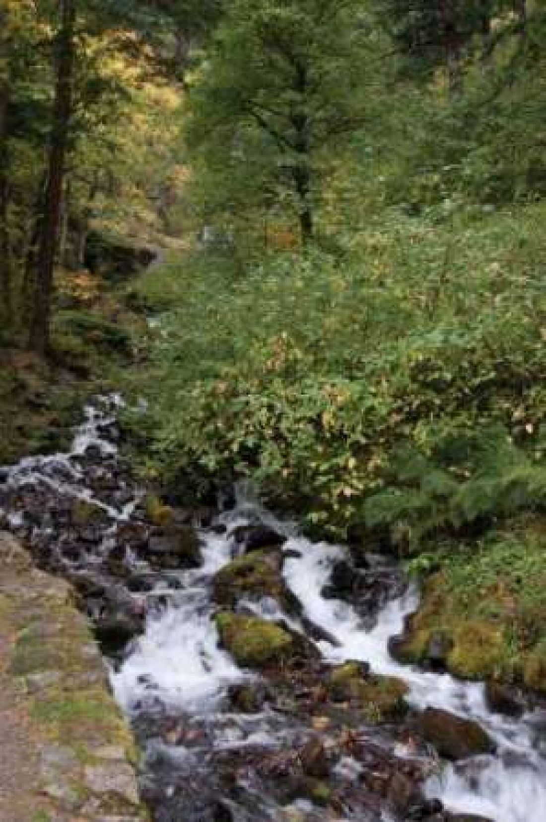 Wahkeena Falls IV Canvas Art - Erin Berzel (20 x 28)