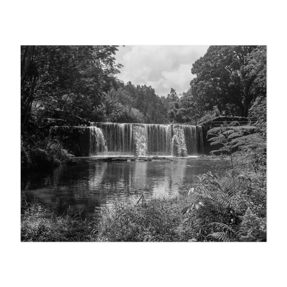 Wai Koa Stone Dam - Kilauea Hawaii Photography Waterfall Black and White Nature Forest Scenic Landscape Vintage Unframed Wall Art Print 4 x 6 inches