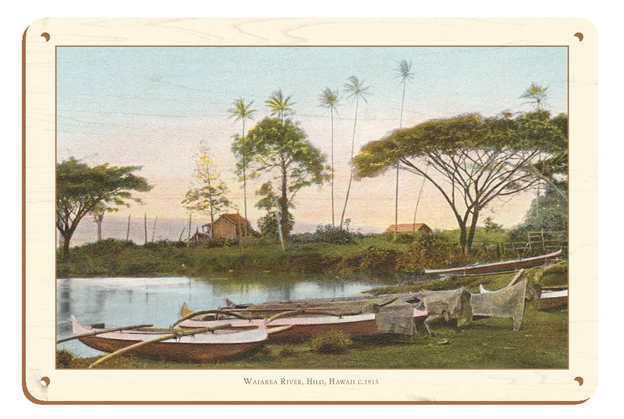 Waiakea River Hilo Territory of Hawaii Vintage Hawaiian Color
