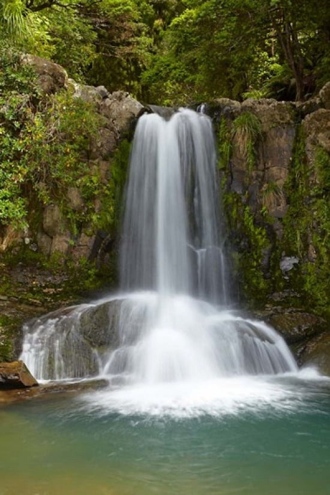 Waiau Waterfall near 309 Road Coromandel Peninsula North Island New Zealand Canvas Art - David Wall DanitaDelimont (18 x 24)