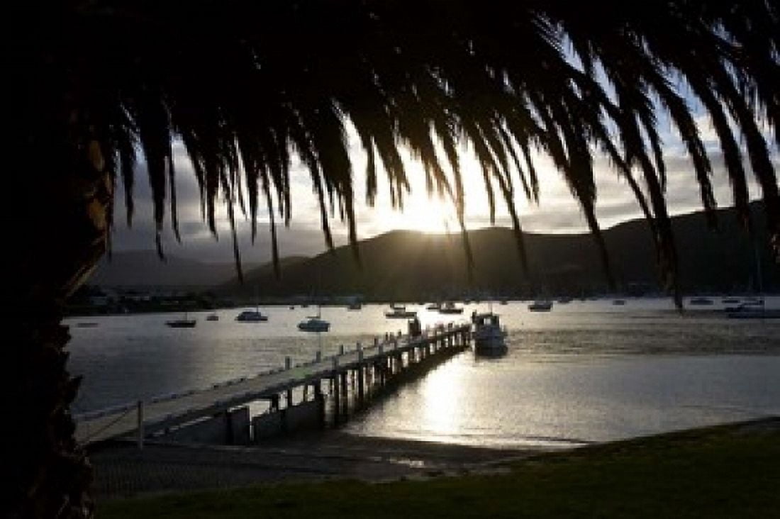 Waikawa Bay near Picton Marlborough Sounds South Island New Zealand Canvas Art - David Wall DanitaDelimont (17 x 11)