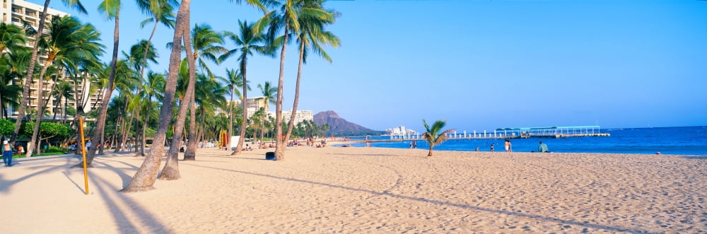 Waikiki Beach and Diamond Head Honolulu Oahu Hawaii Canvas Art - Panoramic Images (27 x 9)