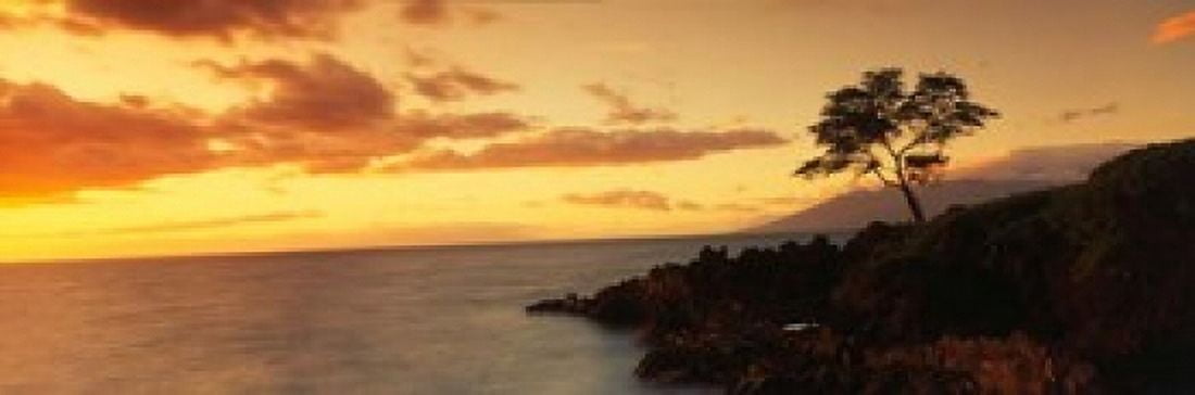 Wailea Point Maui Hawaii Canvas Art - Panoramic Images (37 x 12)