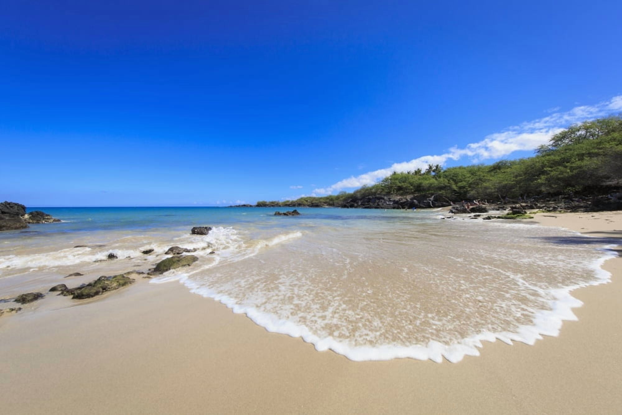 Wailua Beach known locally as Beach 69 Kohala Island of Hawaii Hawaii United States of America Canvas Art - Alvis Upitis Design Pics (38 x 24)