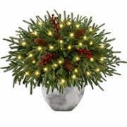 Waipfaru Artificial Christmas Norfolk Pine Branches with Lights,16 Pcs Fake Evergreen Real Touch Greenery Stem for Xmas Holiday Winter Table Indoor Decor