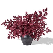 Waipfaru 3 Pack Artificial Cimicifuga Plant Stems, 36" Faux Silk Plum Cimicifuga Ramosa Branches for Fall Thanksgiving Home DecorBurgundy