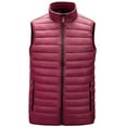 thumbnail image 1 of Waistcoat Vest For Men Sevevn Men Puffer Vest for Winter Stand-Up Collar Sleeveless Lightweight Warm Pockets Jacket, 1 of 9
