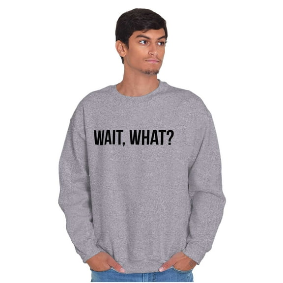Wait What Funny Novelty One Liner Unisex Plus Fleece Graphic Sweatshirt Brisco Brands 2X