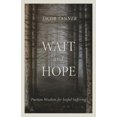 thumbnail image 1 of Wait and Hope: Puritan Wisdom for Joyful Suffering, (Paperback), 1 of 1
