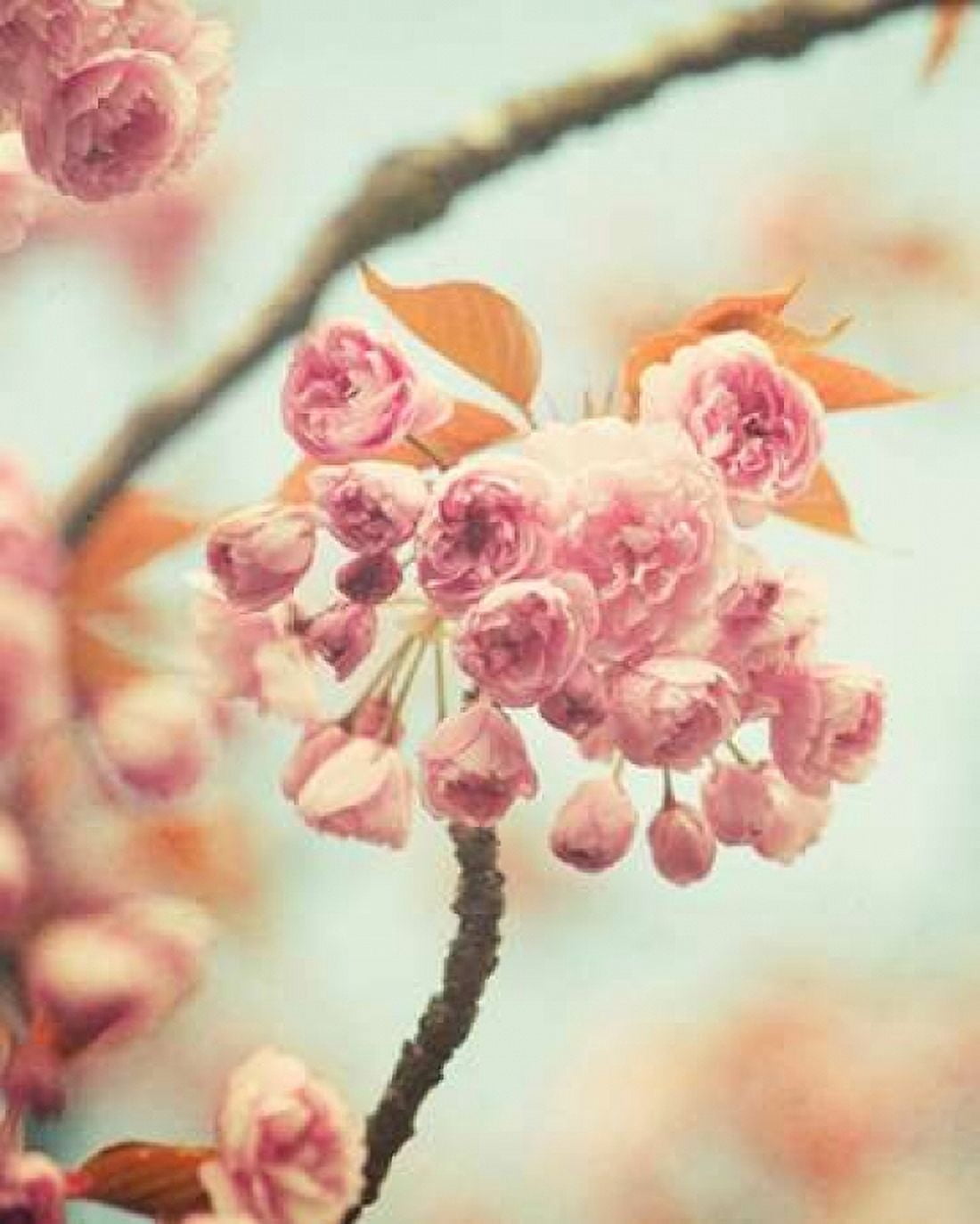 Waiting For Spring Canvas Art - Irene Suchocki (24 x 30)