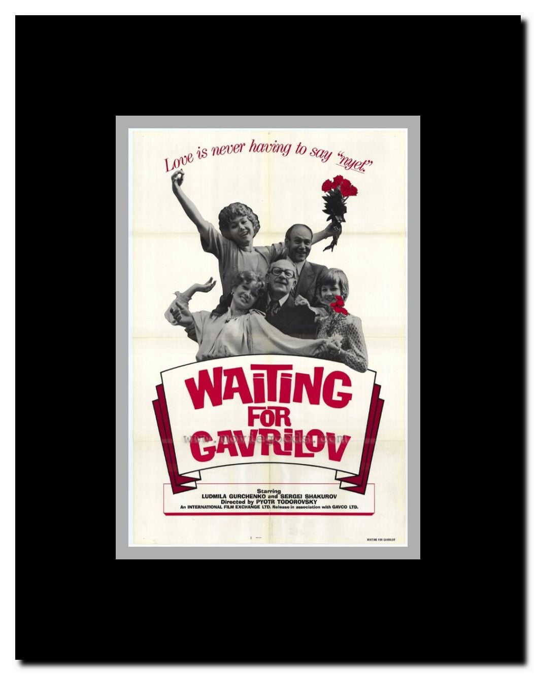 Waiting for Gavrilov Framed Movie Poster
