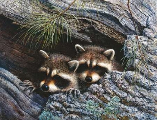 Waiting for Mom Canvas Art - Bob Henley (18 x 24)
