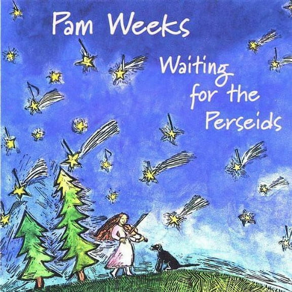 Waiting for the Perseids