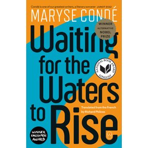 Pre-Owned Waiting for the Waters to Rise (Paperback) 1642860735 9781642860733