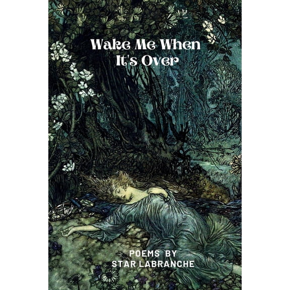 Wake Me When It's Over, (Paperback)
