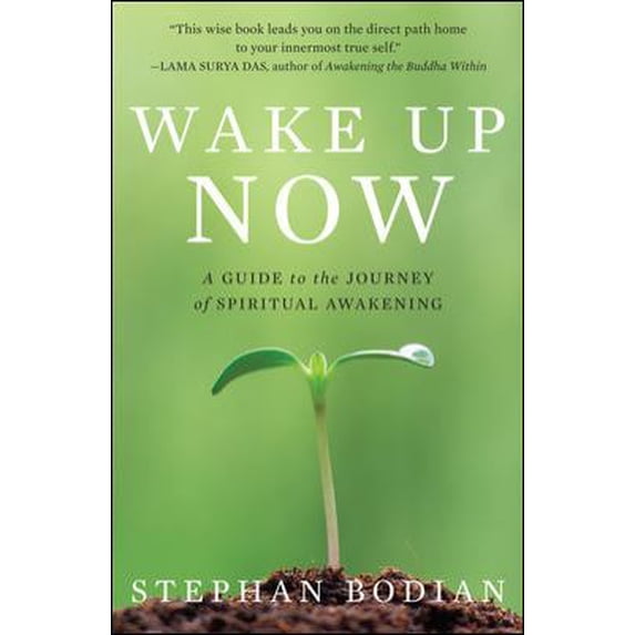 Pre-Owned Wake Up Now: A Guide to the Journey of Spiritual Awakening (Hardcover) 0071494286 9780071494281