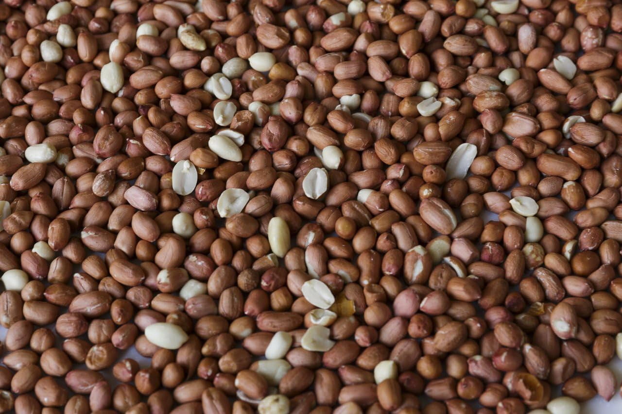 Wakefield Virginia Peanuts Bulk 45LB Bag Shelled Animal Peanuts for