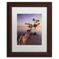 Moises Levy 'Water Tree IV' Matted Framed Art
