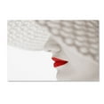 thumbnail image 1 of Seyhan Terzioglu 'Red' Canvas Art, 1 of 3