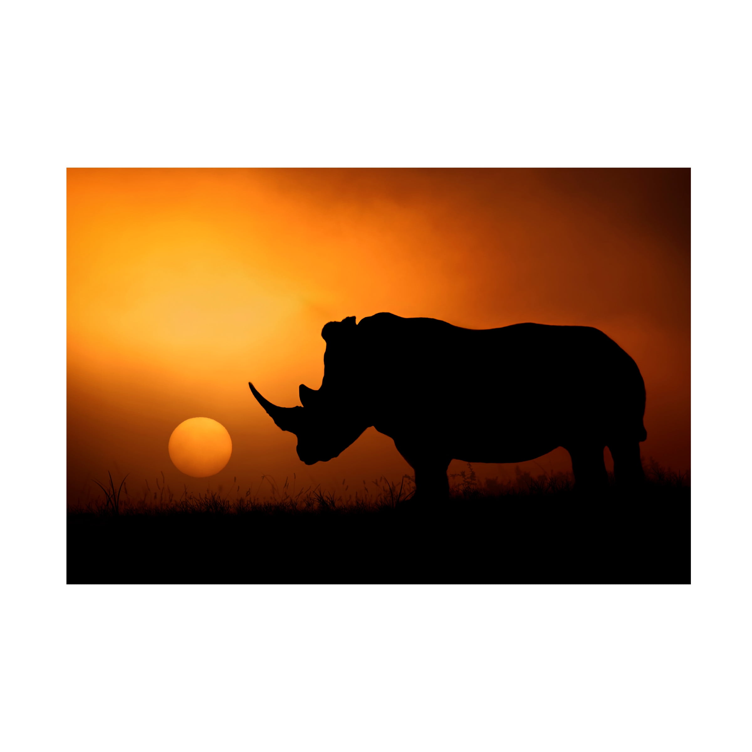 Mario Moreno 'Rhino Sunrise' Canvas Art