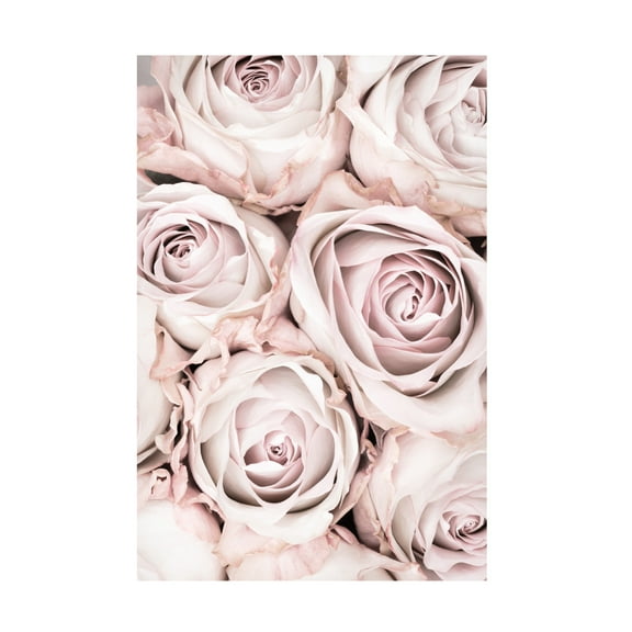 1x Studio III 'Pink Roses No 01' Canvas Art