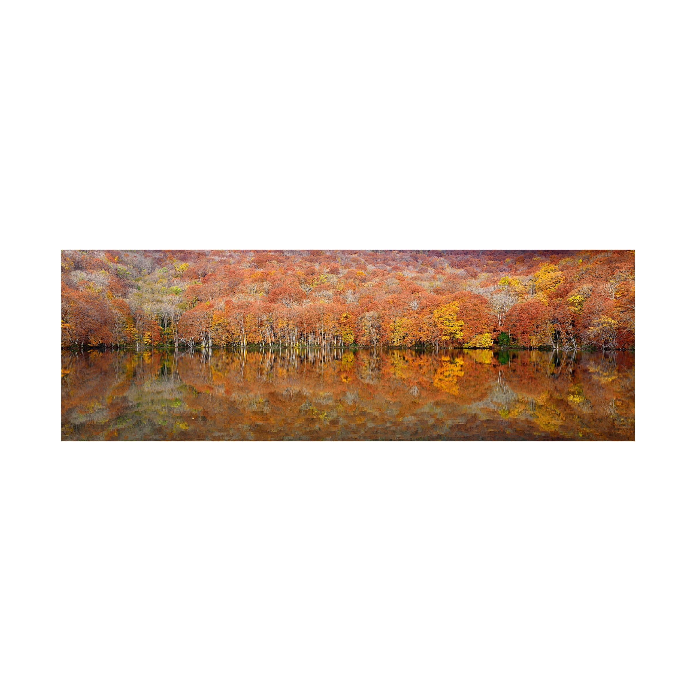 Sho Shibata 'Glowing Autumn' Canvas Art