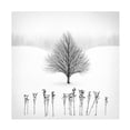 thumbnail image 1 of Matt Anderson 'White' Canvas Art, 1 of 4
