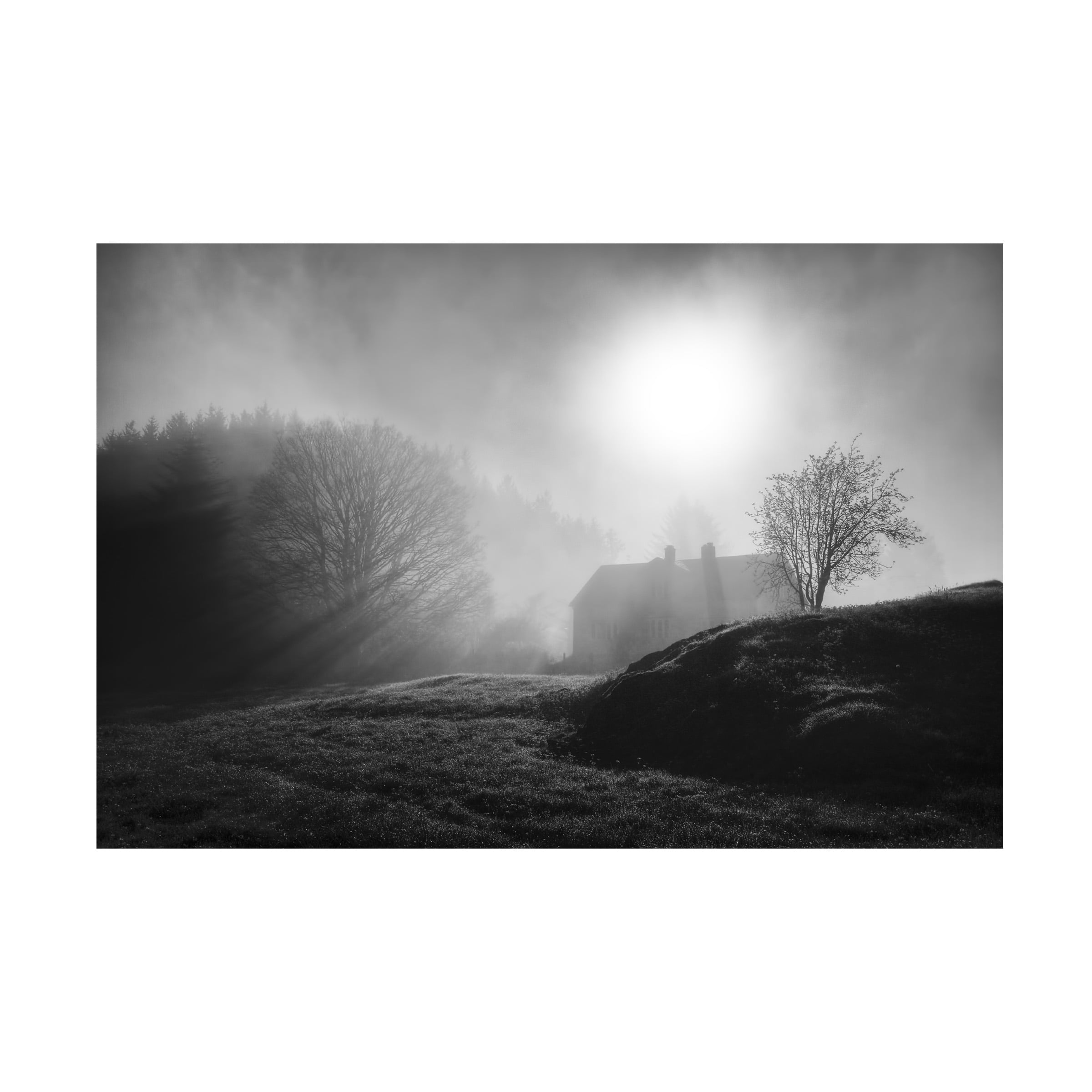 Lars Arvid Hellebo 'Pastoral Song' Canvas Art