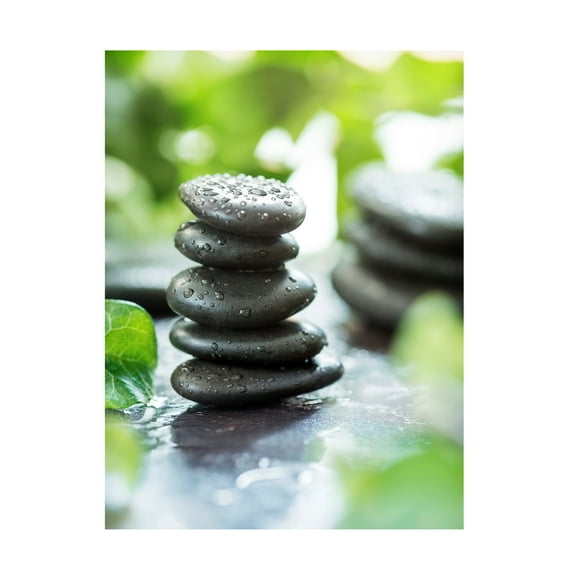 Johanna 'Zen Pebbles' Canvas Art