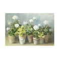 thumbnail image 1 of Trademark Fine Art Danhui Nai White Potted Geraniums Canvas Wall Art - 30x47, 1 of 5