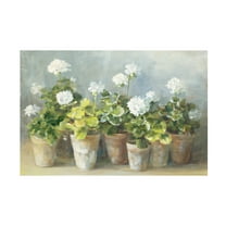 Trademark Fine Art Danhui Nai White Potted Geraniums Canvas Wall Art - 30x47