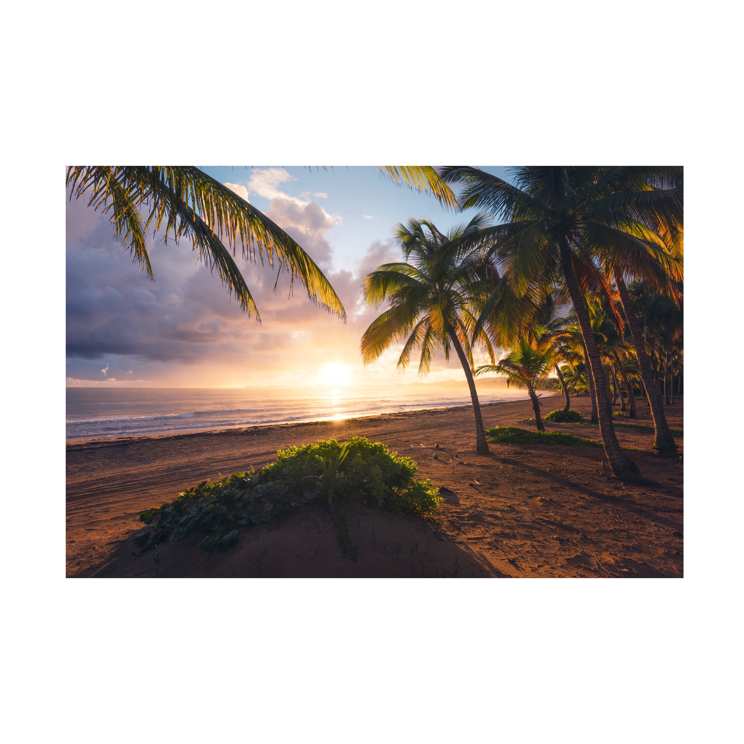 Stefan Hefele 'Good Morning Paradise' Canvas Art