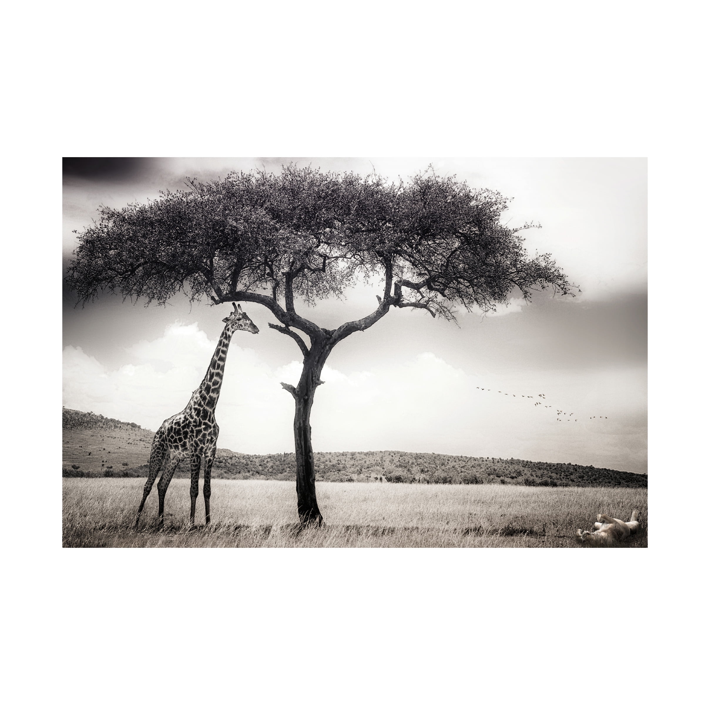 Piet Flour 'Under The African Sun' Canvas Art