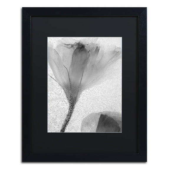 Moises Levy 'Flowers on Ice-13' Black Matted Framed Art